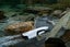 RC Speed Boat - S2 - White Carousel 6