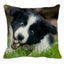 Cute Border Shepherd Dog Linen Cushion Cover with Animal Pattern Carousel 1