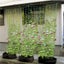 PTN NEW Garden Netting Sale Sale Carousel 10