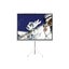 Loading Image 1 of 1