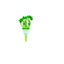 Loading Image 1 of 1
