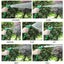 Flexible Garden Hose with Spray Nozzle Expandable Water Pipe for Home Car Lawn Carousel 3