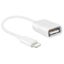 Hod Health & Home Usb Adapter Cable For Iphone / Ipad Tablet Mini White Carousel 1