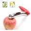 Stainless Steel Fruit Core Remover Red Carousel 1