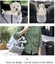 Dog Car Seat New Carousel 2