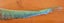 100 Mixed Sword and Sword Eye Feathers by Feathergirl Carousel 2