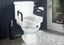 5 Inch Raised Toilet Seat with Arm Carousel 2