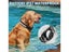 Waterproof LED Dog Collar NZ Clearance Carousel 3