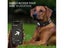 Waterproof LED Dog Collar NZ Clearance Carousel 4