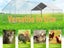 Chicken Run Chicken Coop Carousel 4