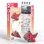 Eugy: Tyranno - 3D Cardboard Model Carousel 1