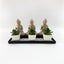 Buddha With Sand Tray - Gold With Plants - 15.3cm Carousel 1