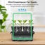 Seedling Trays Plant Growing Box Mini Propagator Greenhouse 2042501 Carousel 10