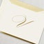Crane & Co Engraved V Initial Note Card Set 10pce Carousel 2