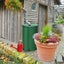 NEW NEW Rain Water Tank Barrel - NEW Carousel 8