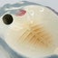 Vintage Kitsch or Uber Cool - Retro Ceramic Smoking Fish Ashtray. Carousel 4