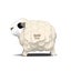 Eugy: Sheep - 3D Cardboard Model Carousel 3