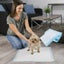 Puppy Training Pads Toilet Pee Wee Mats Poo Dog Pet Cat 100Pcs Carousel 2
