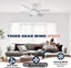 Socket Fan Light – Deluxe Model Warm Light Ceiling Fans with Lights Ceiling Fan Carousel 3
