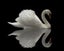 DIY Paint By Number Abstract Animals - NZ Stock - Limited Quantities in stock Carousel 5