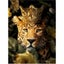 DIY Paint By Number Abstract Animals - NZ Stock - Limited Quantities in stock Carousel 6