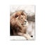 DIY Paint By Number Animals - In Stock In NZ - Limited Quantities left Carousel 3