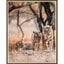 DIY Paint By Number Animals - In Stock In NZ - Limited Quantities left Carousel 5