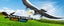 RC Plane, Remote Control Eagle Plane,RTF Airplane,2.4GHZ 2CH Flying Bird with 2 Carousel 3