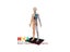 Human Anatomy 1:6 Translucent Person 4D Master Assembling Toy Human Body Organ Carousel 8