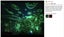 New Night Light Projector on Afterpay Carousel 4
