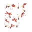 Loading Image 1 of 3