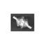 Loading Image 1 of 1