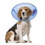 CALM PAWS PROTECTIVE E COLLAR - LARGE Carousel 3