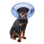 CALM PAWS PROTECTIVE E COLLAR - LARGE Carousel 4