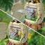 Piggy Bank for Kids Dinosaur Egg Money Bank Carousel 13