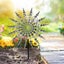 Unique Magical Metal Windmill Kinetic Wind Spinners 2037324 Carousel 5