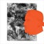 Loading Image 1 of 1