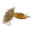 Loading Image 1 of 3