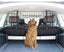NEW NEW Dog Car Barrier - New *IN STOCK* Carousel 3