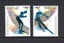 Loading Image 1 of 1