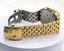 Adina Kensington Chronograph limited Carousel 4