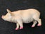 Animal figurines x 12 and a daffodil Carousel 12