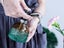 2Pcs Glass Plant Mister Spray Bottle Watering Bottle with Top Pump Carousel 4