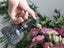 2Pcs Glass Plant Mister Spray Bottle Watering Bottle with Top Pump Carousel 3