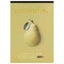 Bockingford Pad Acrylic A4 360gsm 12leaf Carousel 1