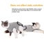 Cat Recovery Suit, Cat Recovery Suit for Abdominal Wounds and Skin Diseases - XS Carousel 6