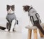 Cat Recovery Suit, Cat Recovery Suit for Abdominal Wounds and Skin Diseases - XS Carousel 12