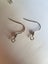 Stainless Steel Earring Hooks Carousel 2