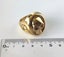 (18K Gold Filled) Skull Ring Statement Ring Steel Ring RST15KL-5 Carousel 5