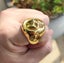 (18K Gold Filled) Skull Ring Statement Ring Steel Ring RST15KL-5 Carousel 4